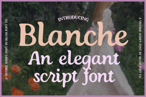 Elevate Your Designs with Blanche: The Timeless Calligraphy Font for Modern Creatives